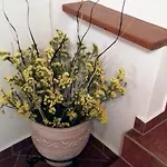 Olea Escape In An Olive Estate Villa