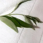 Olea Escape In An Olive Estate *