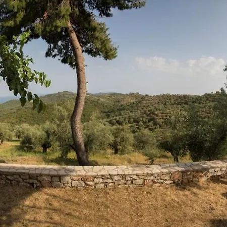 Olea Escape In An Olive Estate Gytheio