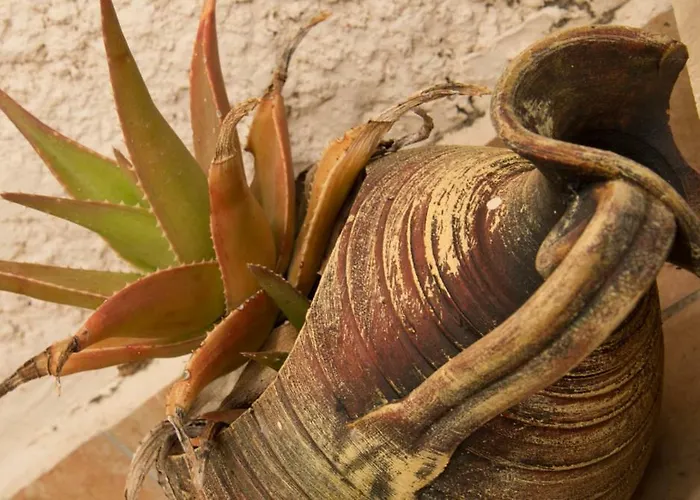 Olea Escape In An Olive Estate וילה *