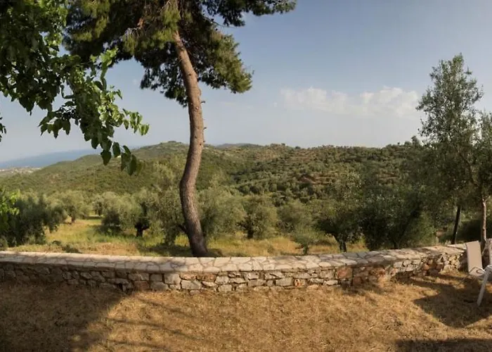 Olea Escape In An Olive Estate גיתיו