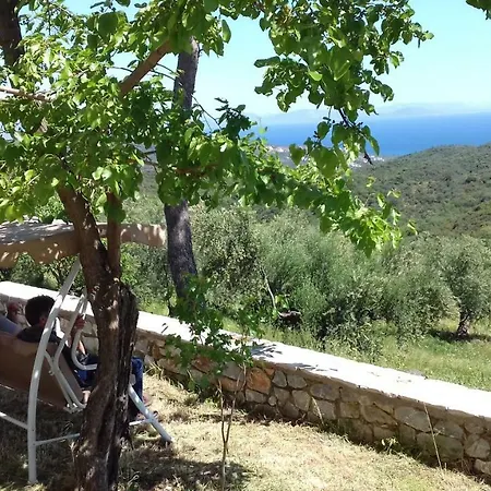 Olea Escape In An Olive Estate Villa