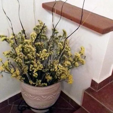 Olea Escape In An Olive Estate Villa