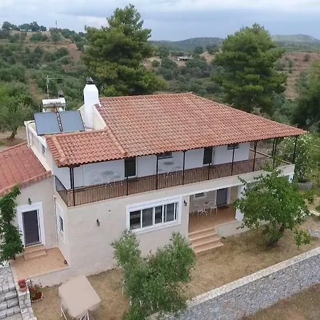 Villa Olea Escape In An Olive Estate