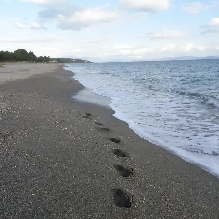 Olea Escape In An Olive Estate