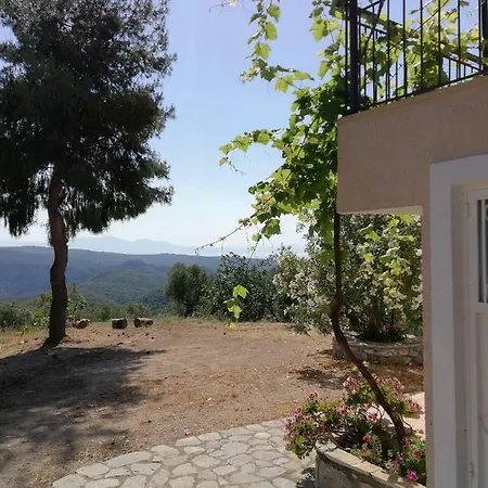 Olea Escape In An Olive Estate Villa *