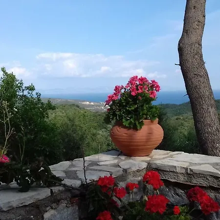 Villa Olea Escape In An Olive Estate *