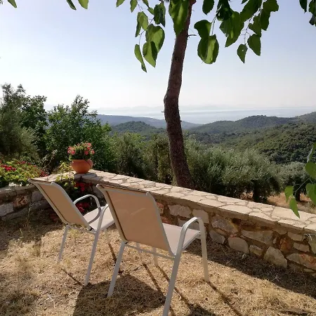 Olea Escape In An Olive Estate *