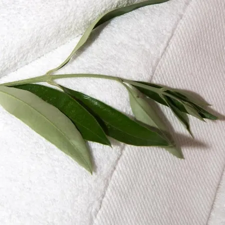 Olea Escape In An Olive Estate *