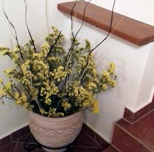 Olea Escape In An Olive Estate Βίλα