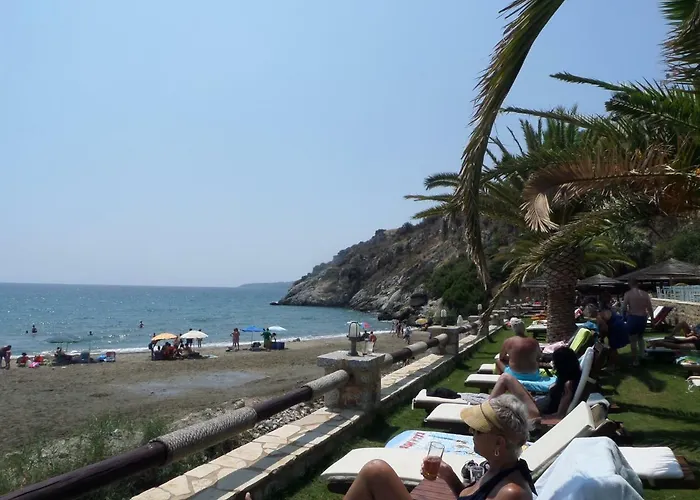 Olea Escape In An Olive Estate