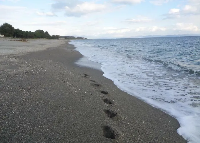 Olea Escape In An Olive Estate