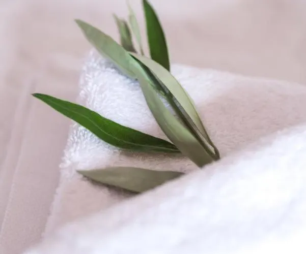 Olea Escape In An Olive Estate